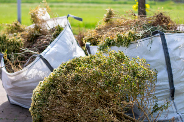 Best Recycling Services for Junk  in Toona, AL